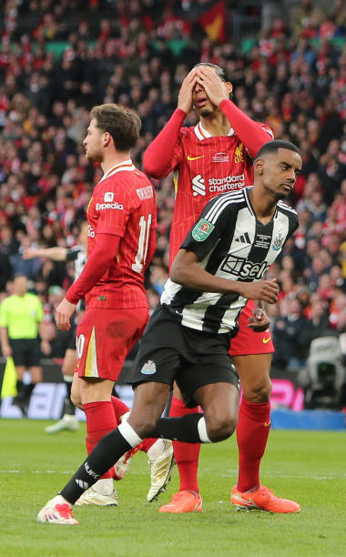 传统优势的 传统优势的